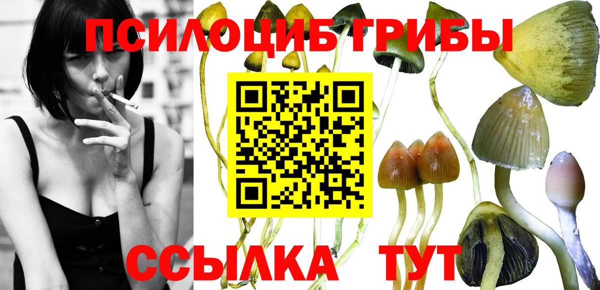 Галлюциногенные грибы ЛСД Новоуральск