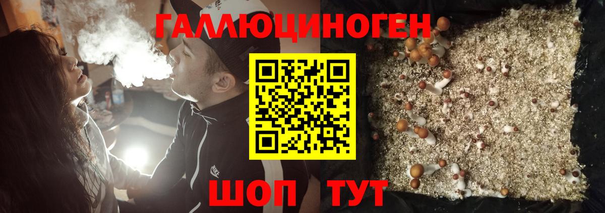 Псилоцибиновые грибы Psilocybe  Псилоцибиновые грибы MAGIC MUSHROOMS  Новоуральск  Вход с VPN 